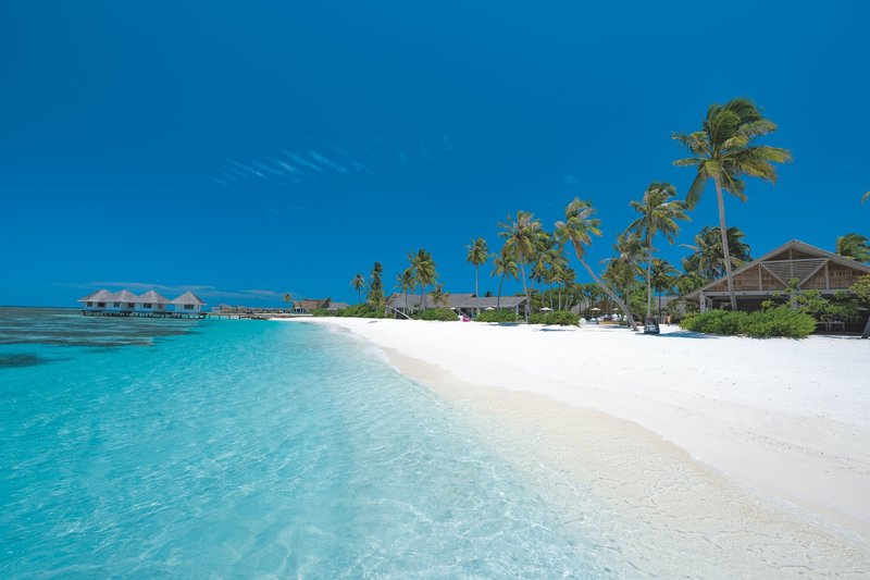 Urlaub im Cora Cora Maldives 2024/2025 - hier günstig online buchen